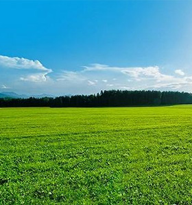 �����þ�